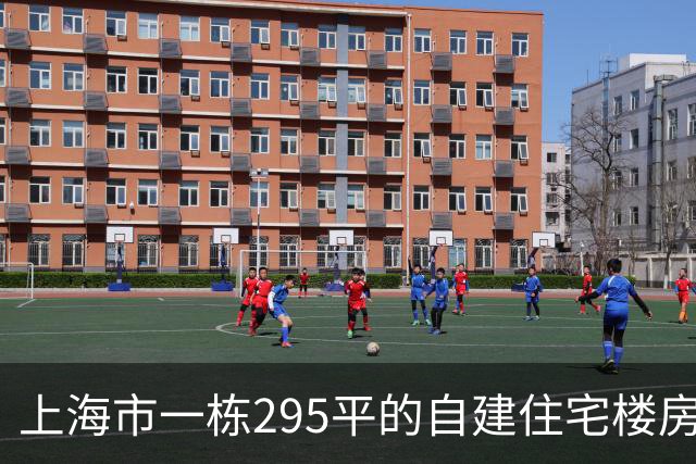 上海市一栋295平的自建住宅楼房拍卖，才130万元就成交