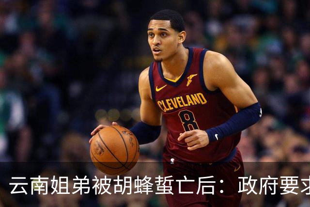 云南姐弟被胡蜂蜇亡后：政府要求禁养，但蜂蛹交易仍频繁，胡蜂养殖何以难管？