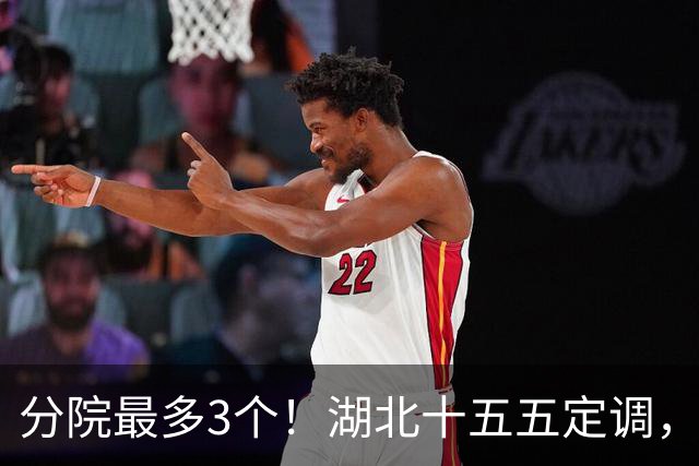 分院最多3个！湖北十五五定调，公立医院告别盖楼扩床时代