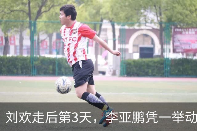 刘欢走后第3天，李亚鹏凭一举动口碑暴增：原来他俩是同一类人