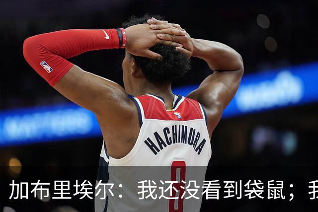 加布里埃尔：我还没看到袋鼠；我和拉菲尼亚聊过了他没事