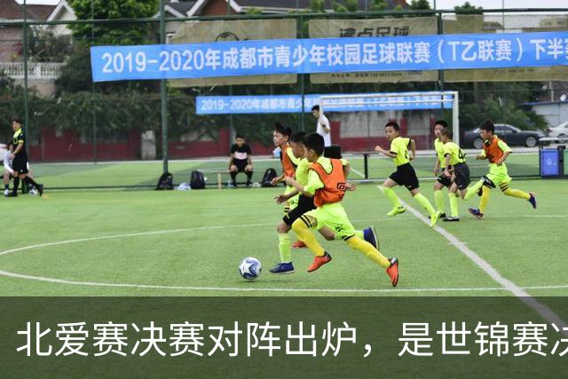 北爱赛决赛对阵出炉，是世锦赛决赛重演，预测冠亚军会颠倒过来