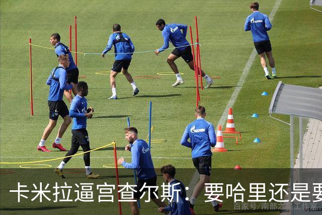 卡米拉"逼宫"查尔斯：要哈里还是要我
