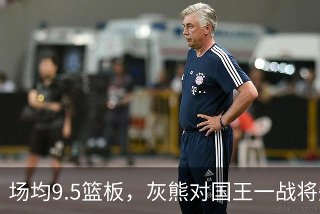 场均9.5篮板，灰熊对国王一战将失去他
