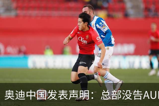 奥迪中国发表声明：总部没告AUDI，告的是平行进口商