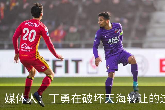 媒体人：丁勇在破坏天海转让的过程中曾拉刘奕下水
