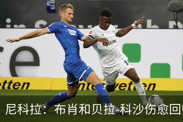 尼科拉：布肖和贝拉-科沙伤愈回归；我们本该赢下热那亚