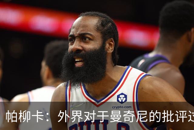 帕柳卡：外界对于曼奇尼的批评过于严厉，欧国联只是个小赛