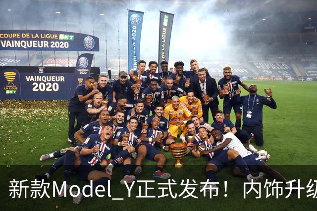 新款Model Y正式发布！内饰升级，三大痛点改善，可以入手吗