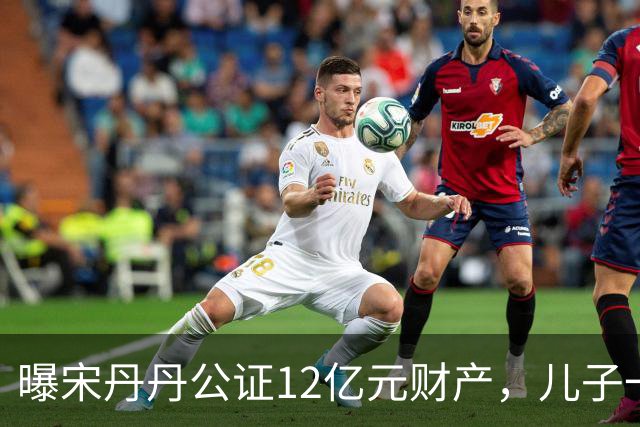 曝宋丹丹公证12亿元财产，儿子一家每月领80万，分配名单未列丈夫！
