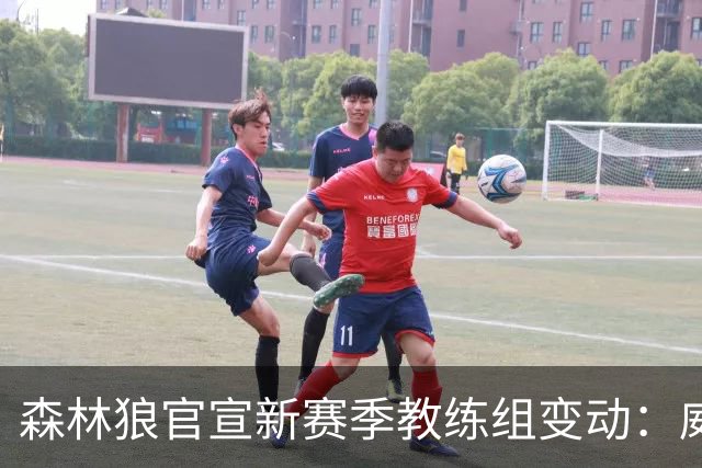 森林狼官宣新赛季教练组变动：威尔-巴顿任球员发展助理