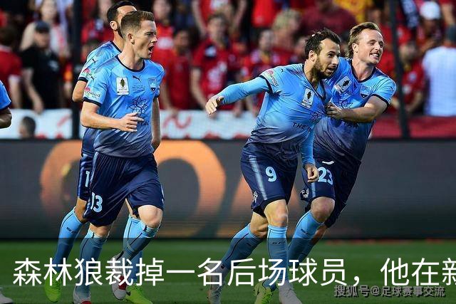 森林狼裁掉一名后场球员，他在新赛季将会加盟森林狼二队？