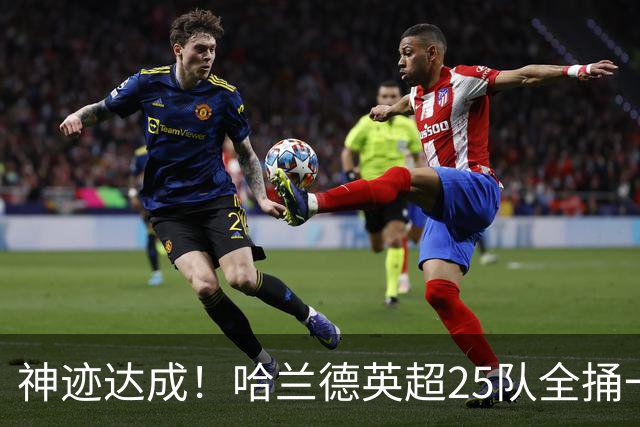 神迹达成！哈兰德英超25队全捅一遍 追凯恩还要多久