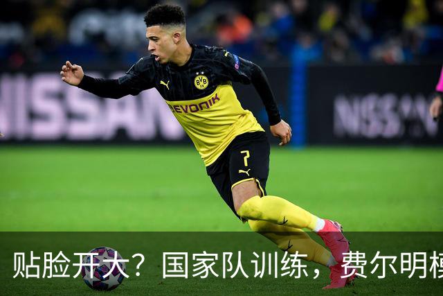 贴脸开大？国家队训练，费尔明模仿格里马尔多马德里德比进球庆祝