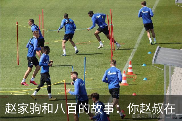 赵家驹和八百的故事：你赵叔在 你爸也在