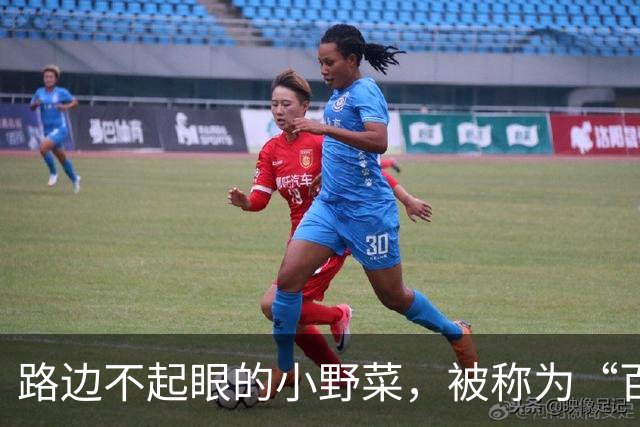路边不起眼的小野菜，被称为“百菜之主”，易种易活，盆栽也爆盆