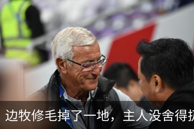 边牧修毛掉了一地，主人没舍得扔，结果拼出了10只小边牧……狗子：我啥时候当爹了？