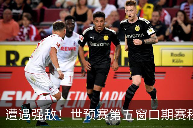 遭遇强敌！世预赛第五窗口期赛程时间公布，男篮迎考验，杨瀚森不出战