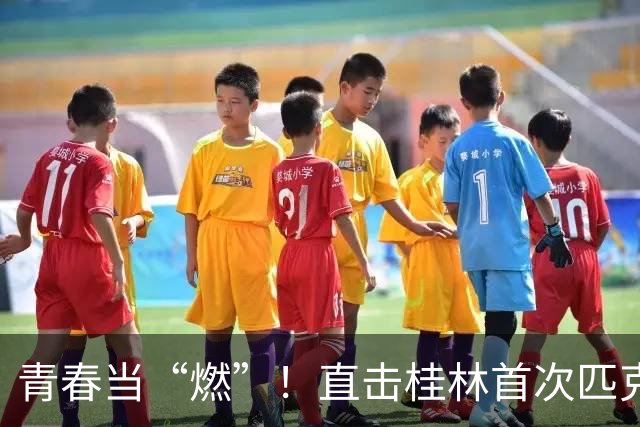 青春当“燃”！直击桂林首次匹克球二级裁判员养成现场