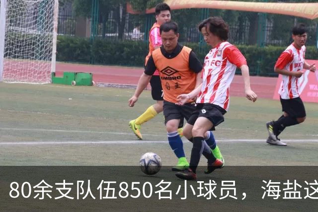 80余支队伍850名小球员，海盐这座基地一年要接千场比赛